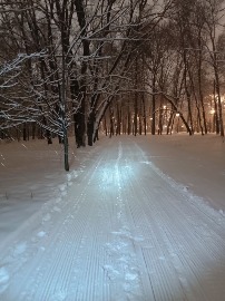 В процессе подготовки трассы к Газонному вызову 2025