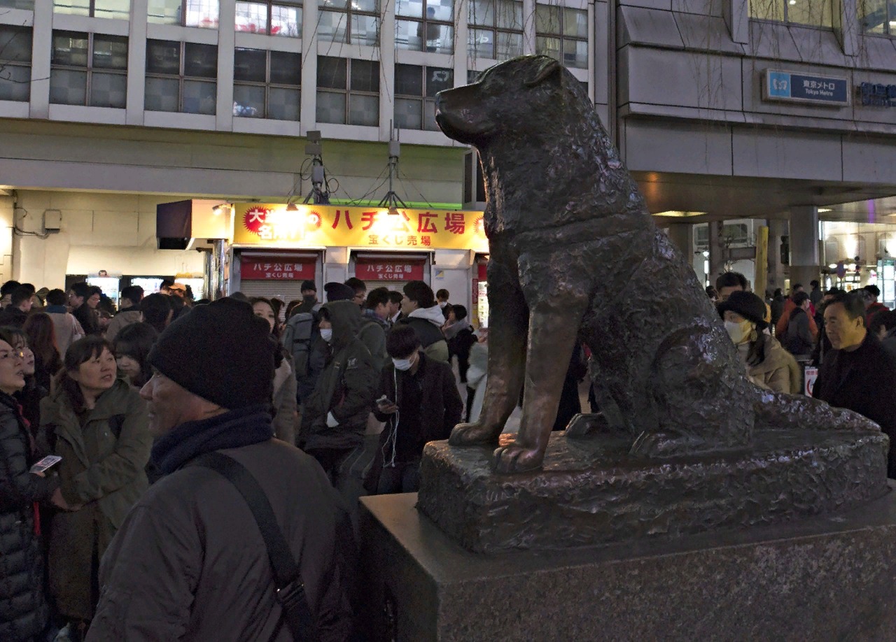 Хачико - символ верности.