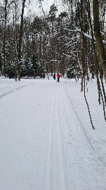 ,,Пятёрка,, от Лебедянского...