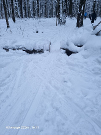 Пятёрка за пасекой.