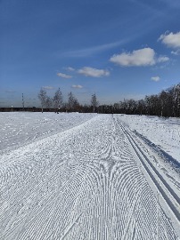 Поляны 10 марта 24