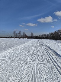 Поляны 10 марта 24