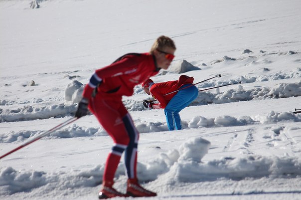 Рисунок: http://www.skisport.ru/upload/iblock/b72/b7295b804de6f3c67ca117cbf00fbb12.jpg