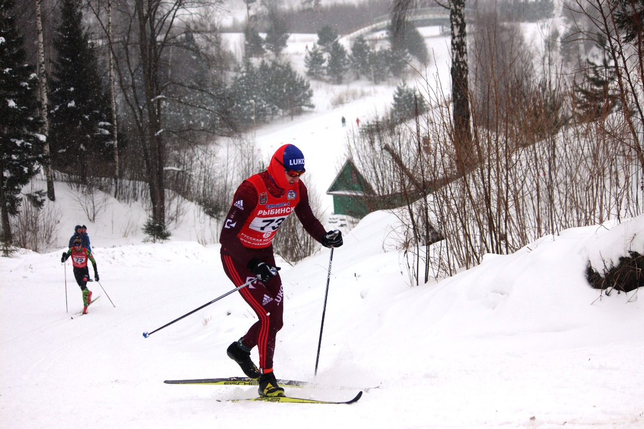 Сергей Новиков.