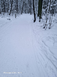 Бывшая пятёрка за пасекой.