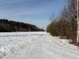 Троицк 18.03.2026