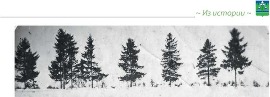 Во все времена излюбленным местом для катаняи было Заречье. Фото 1930-х годов