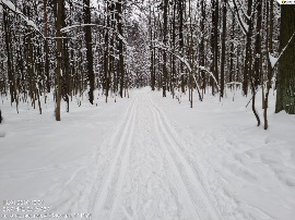 Самотоп за пвсекой...