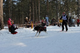 Бердск л.б. Метелеца 2114г.