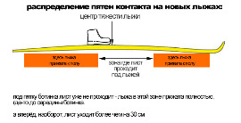 схема распределение пятен контакта