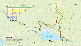 Лыжная трасса для тренировок бесплатно  3 и 5 км освещена до 10 вечера.  10, 16 км  