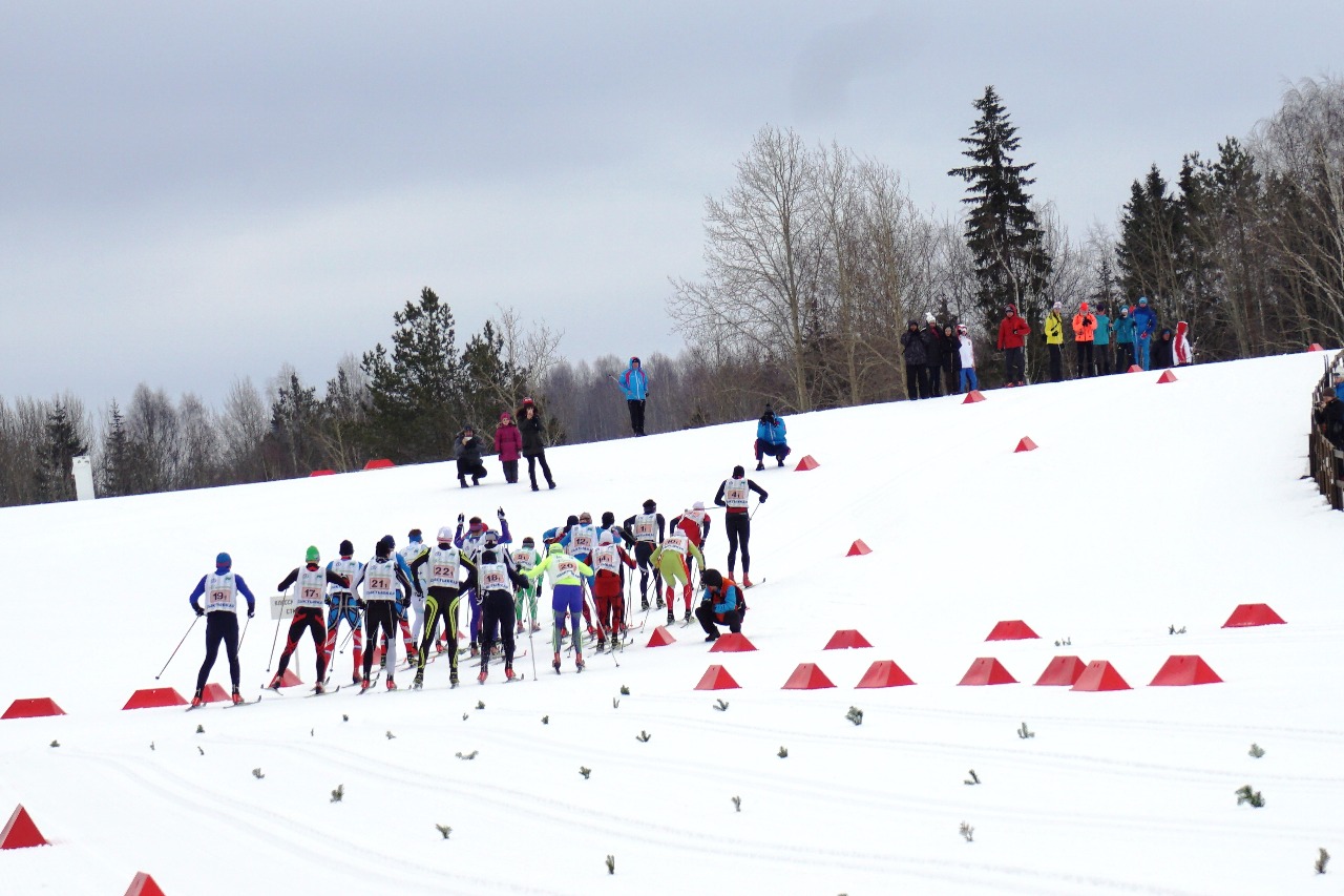 После 100-метрового ускорения на 5 лыжнях 20 спортсменам нужно были вклиниться в две...