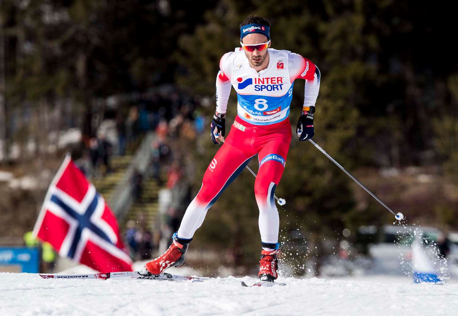 Лыжников 36. Сборная Норвегии по лыжным гонкам 2021. Сборная Норвегии по лыжным гонкам 2022. Норвежские лыжницы сборная.