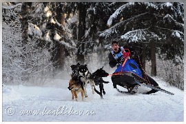 Вторая жизнь пластика с лыж.