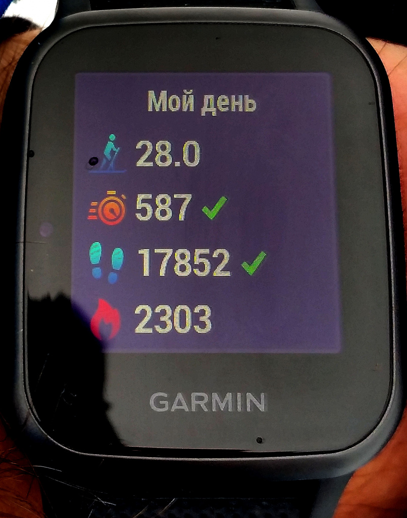 Смарт-часы Garmin Venu SQ music для лыжников: плюсы и минусы