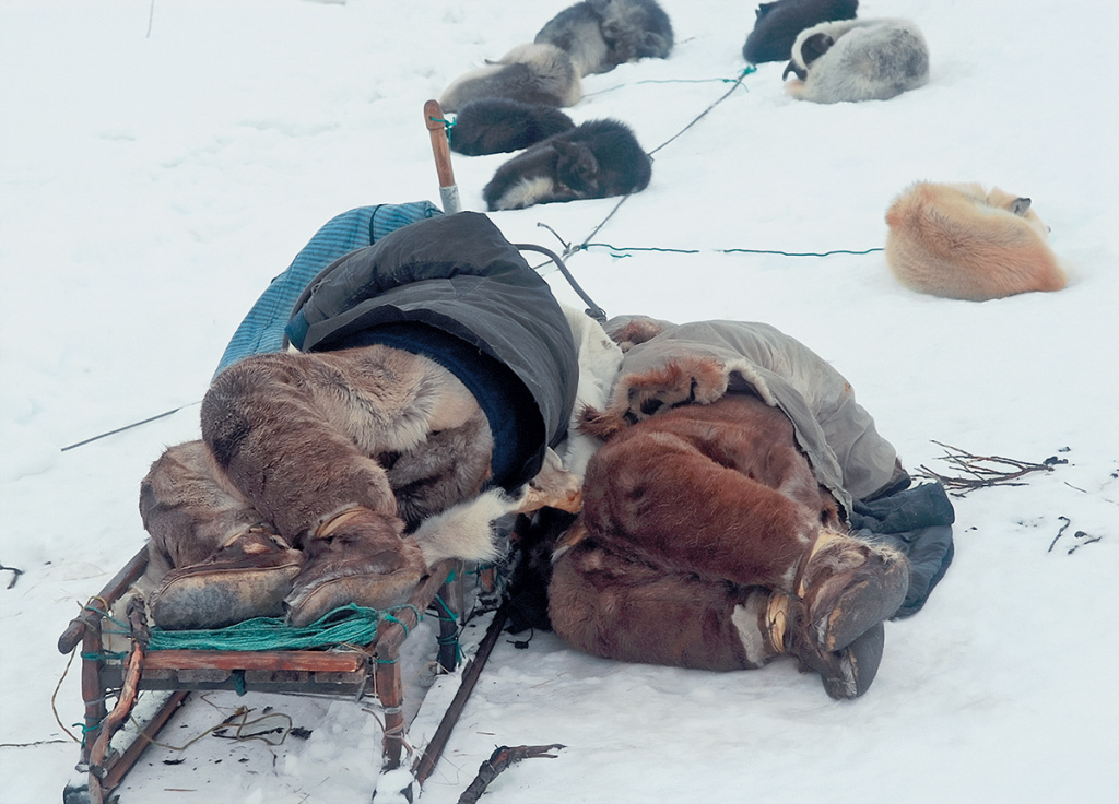 Проснувшись с утра, мы увидели картину: наши сопровождающие спят на нартах немного занесенные снегом, рядом в сугробах свернулись собаки. То есть чукчи — настоящие привычные охотники, для которых ничего страшного — провести ночь под звездами.