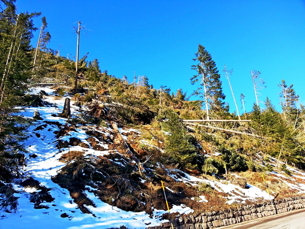 Passo Lavaze. Последствия осеннего урагана