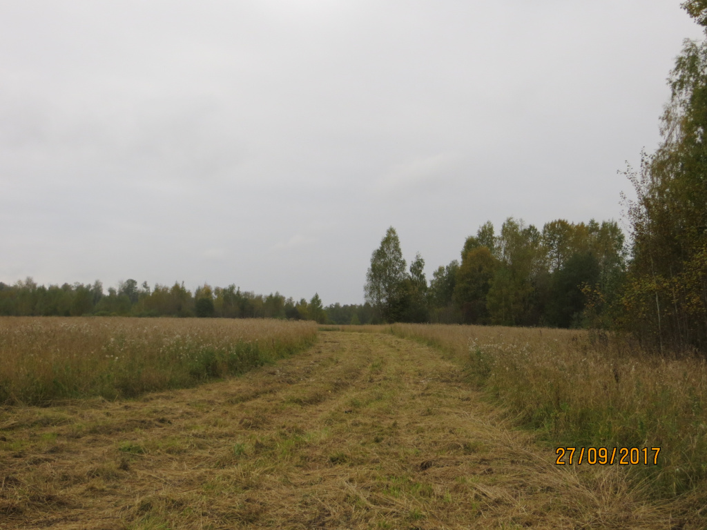 20 км навстречу движению