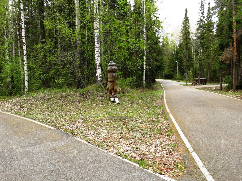 Медведи здесь бывают не только вырезанными из дерева… 