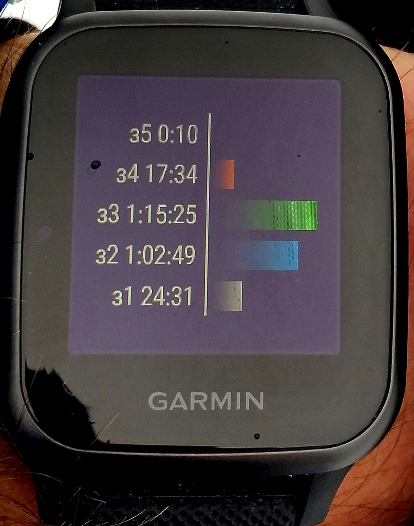 Смарт-часы Garmin Venu SQ music для лыжников: плюсы и минусы