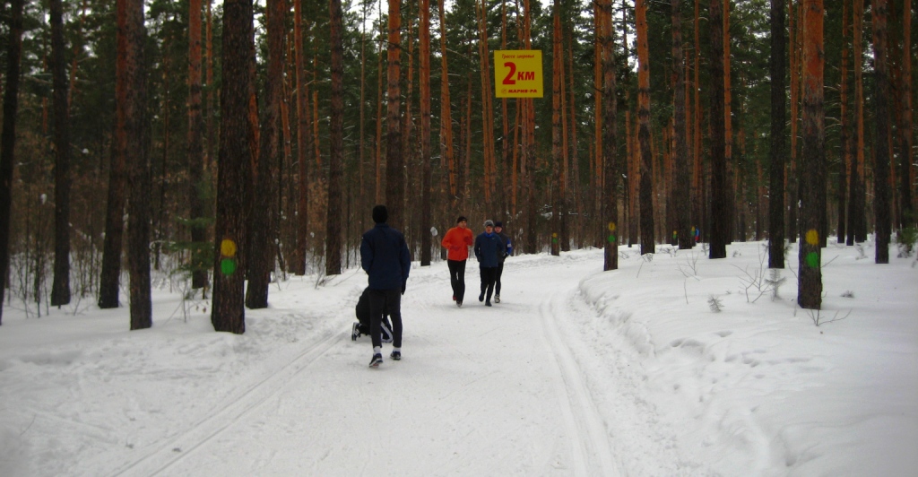 На трассе Лыжни здоровья можно встретить и бегунов, и людей с палочками (поклонников скандинавской ходьбы). 