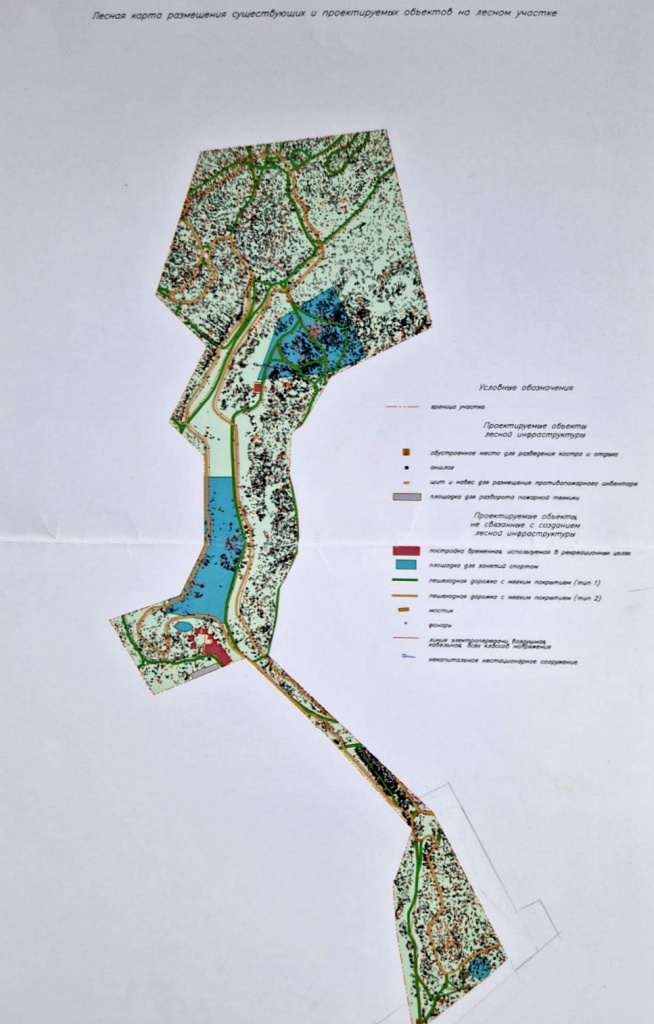 Лесная карта размещения существующих и проектируемых объектов на лесном участке парковой зоны.