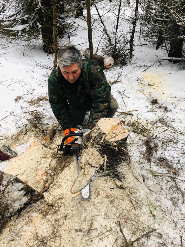 С бензопилою на лыжной трассе - срезает пеньки от упавших деревьев. 