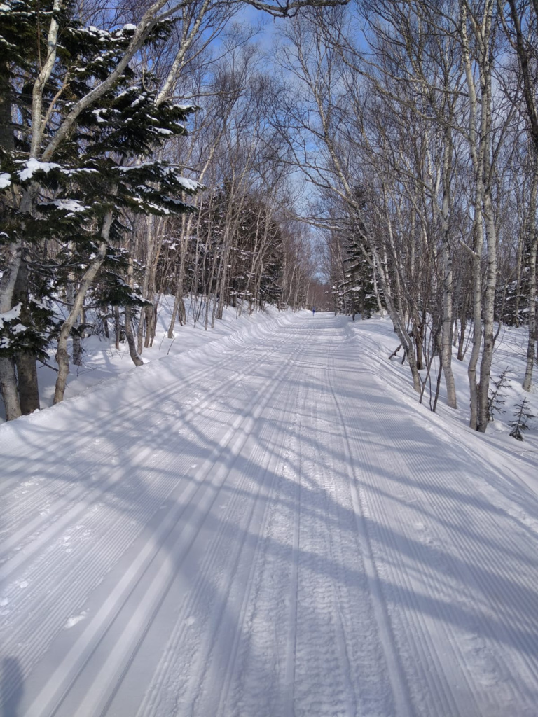 Дмитрий Копосов В день классического марафона.