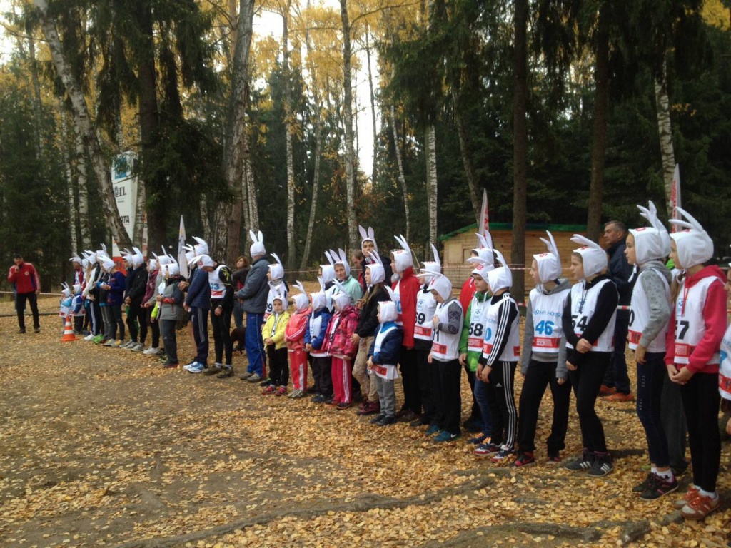 209117eaf94ac5273fa5aecfa6151751.jpg 209117eaf94ac5273fa5aecfa6151751.jpg