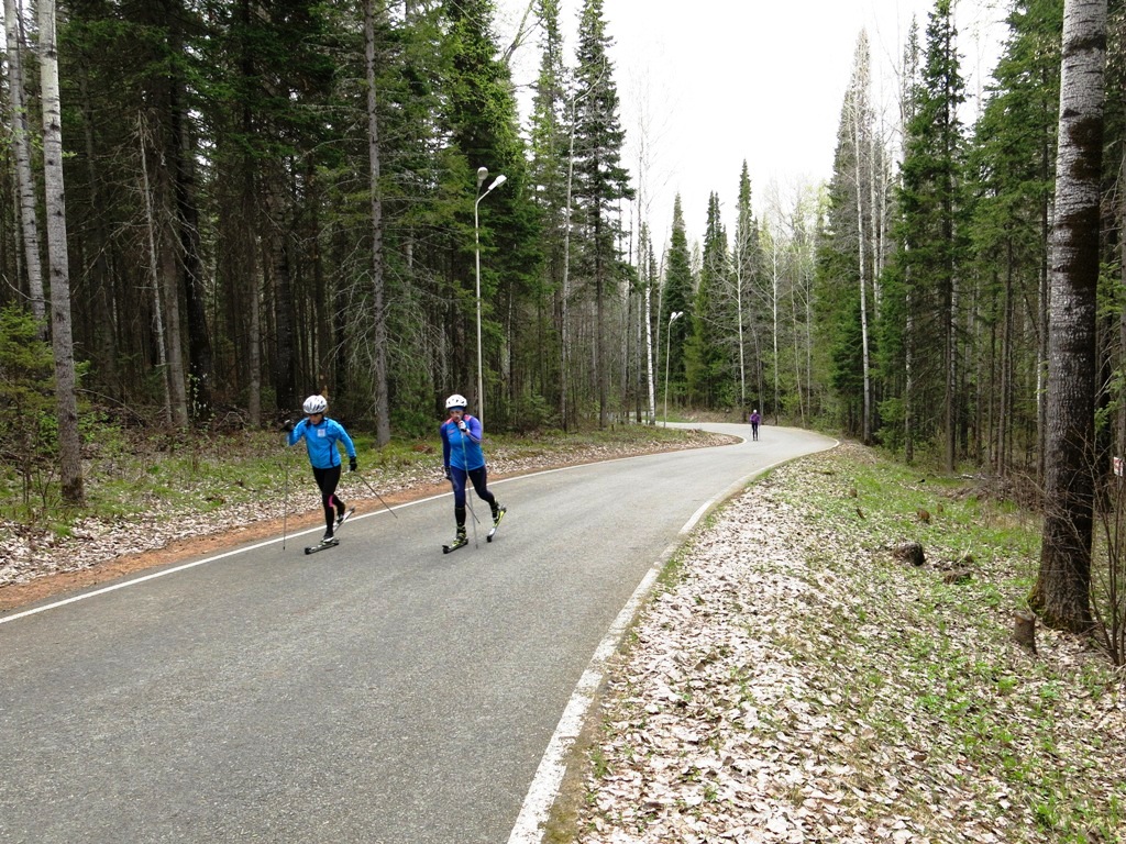 Вторая часть тренировки проходила уже на лыжероллерной трассе. 