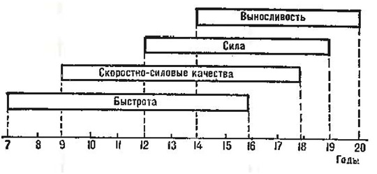 Рисунок 1. Сенситивные периоды развития двигательных качеств у человека