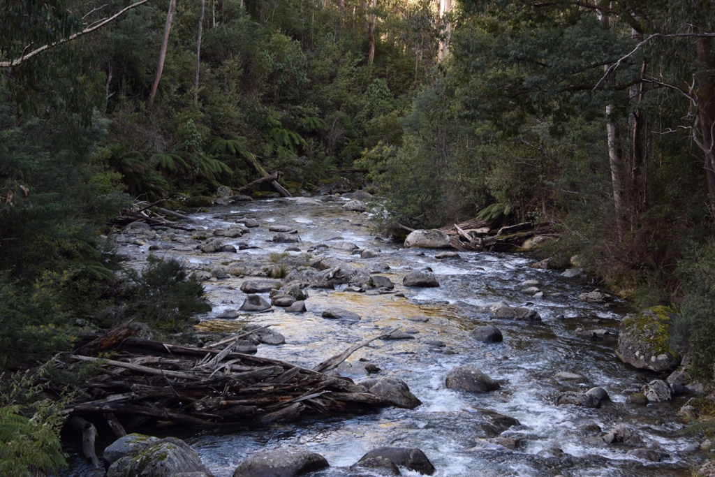 По дороге в Falls Creek