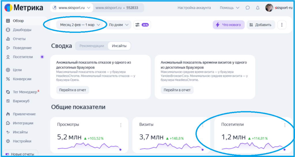 Яндекс-Метрика Яндекс-Метрика насчитала нам 1,2 млн за февраль.