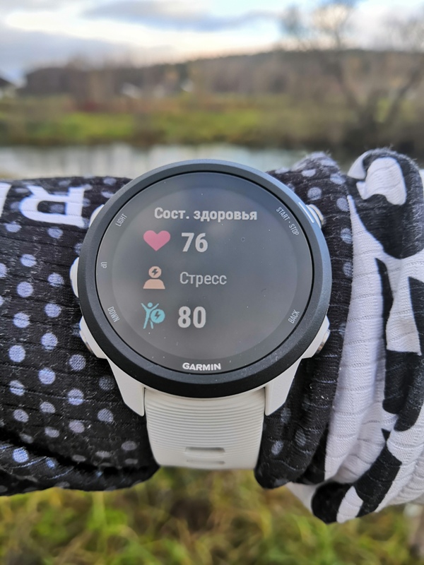 Garmin Forerunner 245 music