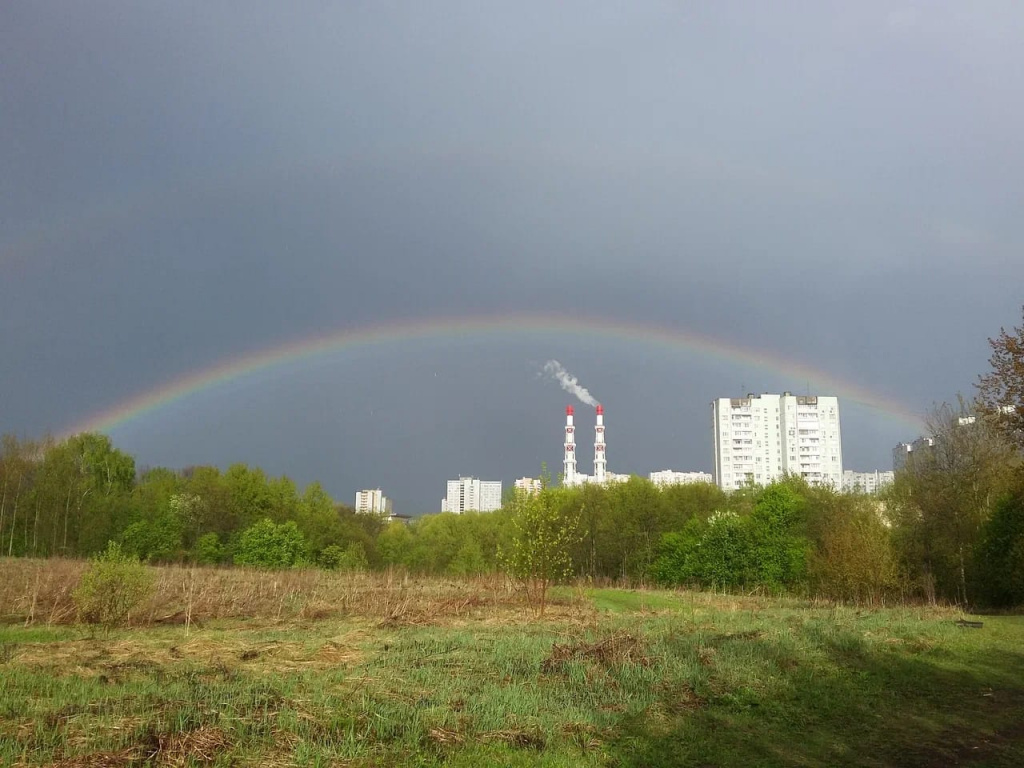 Алешкинский лес лыжная трасса
