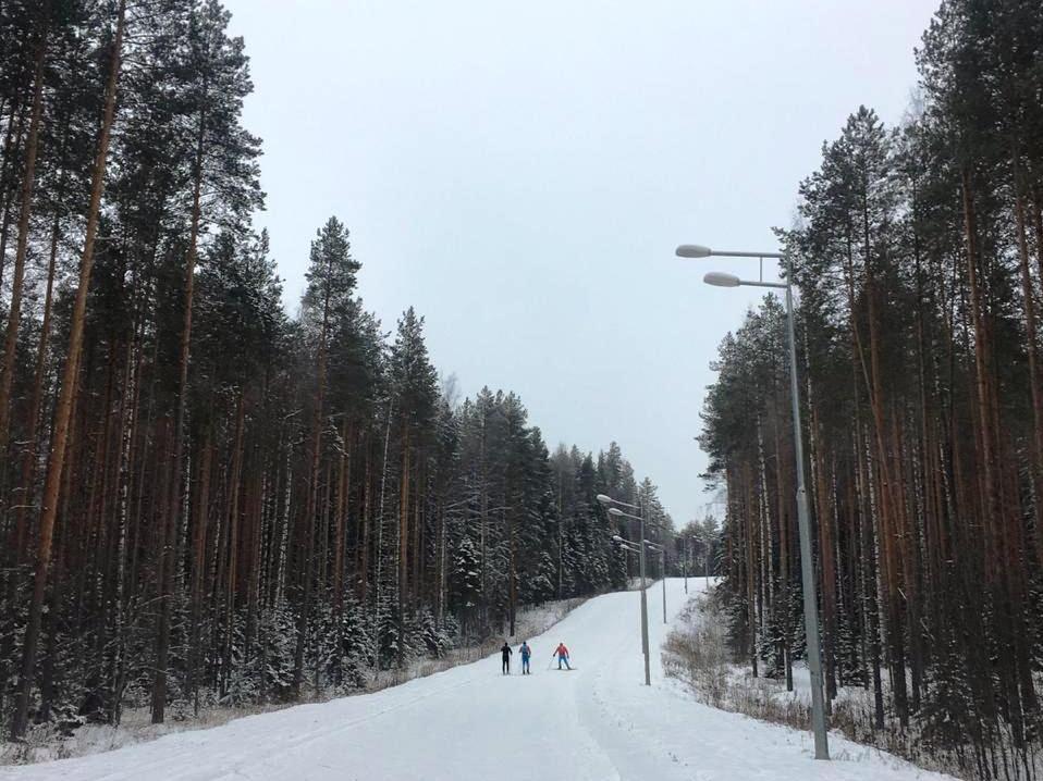MSU Ski Team Один из подъемов на "ромашке"
