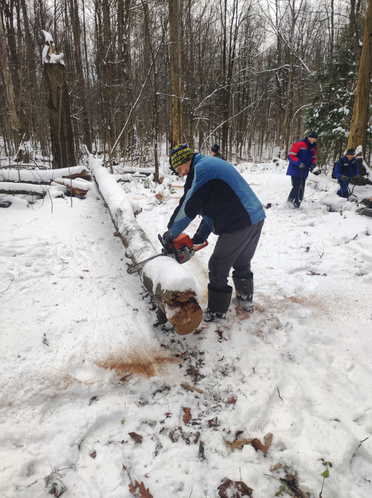 Сергей Борисович распиливает упавшее дерево.