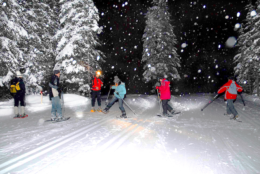 Снегоступеры (можно так сказать? ), пересекая лыжную трассу, бережно перешагивают через лыжню, чтобы не затоптать её. 