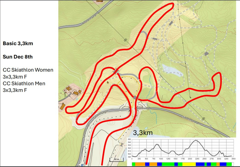 Схема трассы для свободного стиля.