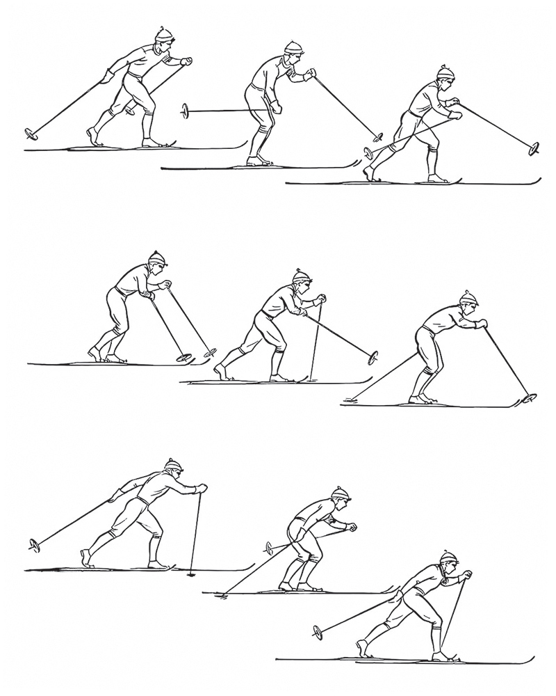 Передвижение одношажным ходом. Попеременно четырехшажный ход на лыжах техника. Лыжные ходы попеременный четырёхшажный ход. Попеременный бесшажный ход на лыжах. Попеременный четырехшажный классический ход.