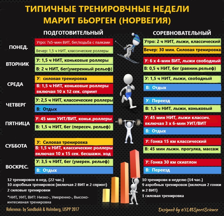 Схема периодизации тренировок