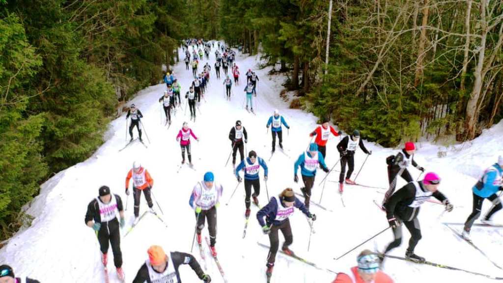 Швеция. На трассе Васы