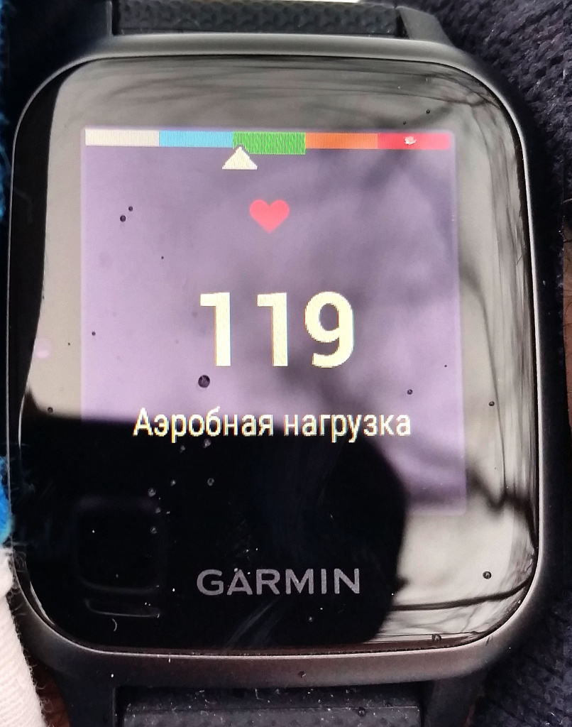 Смарт-часы Garmin Venu SQ music для лыжников: плюсы и минусы