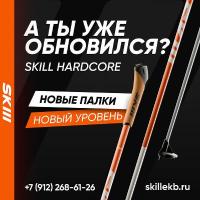Лыжные палки SKILL
